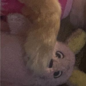 Meet your Posher, Jaacky